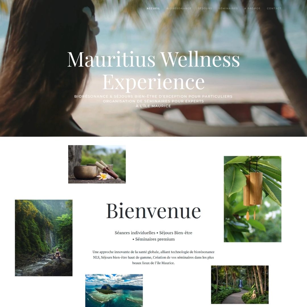 Site web - Mauritius Wellness Experience