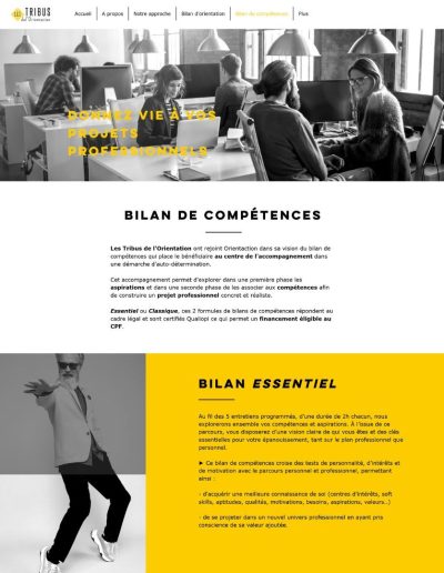 Site web - Les Tribus de l'Orientation
