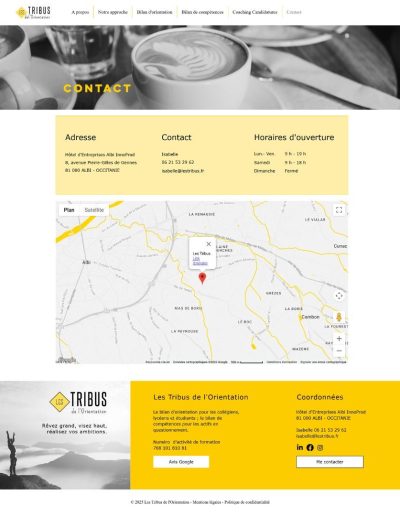 Site web - Les Tribus de l'Orientation